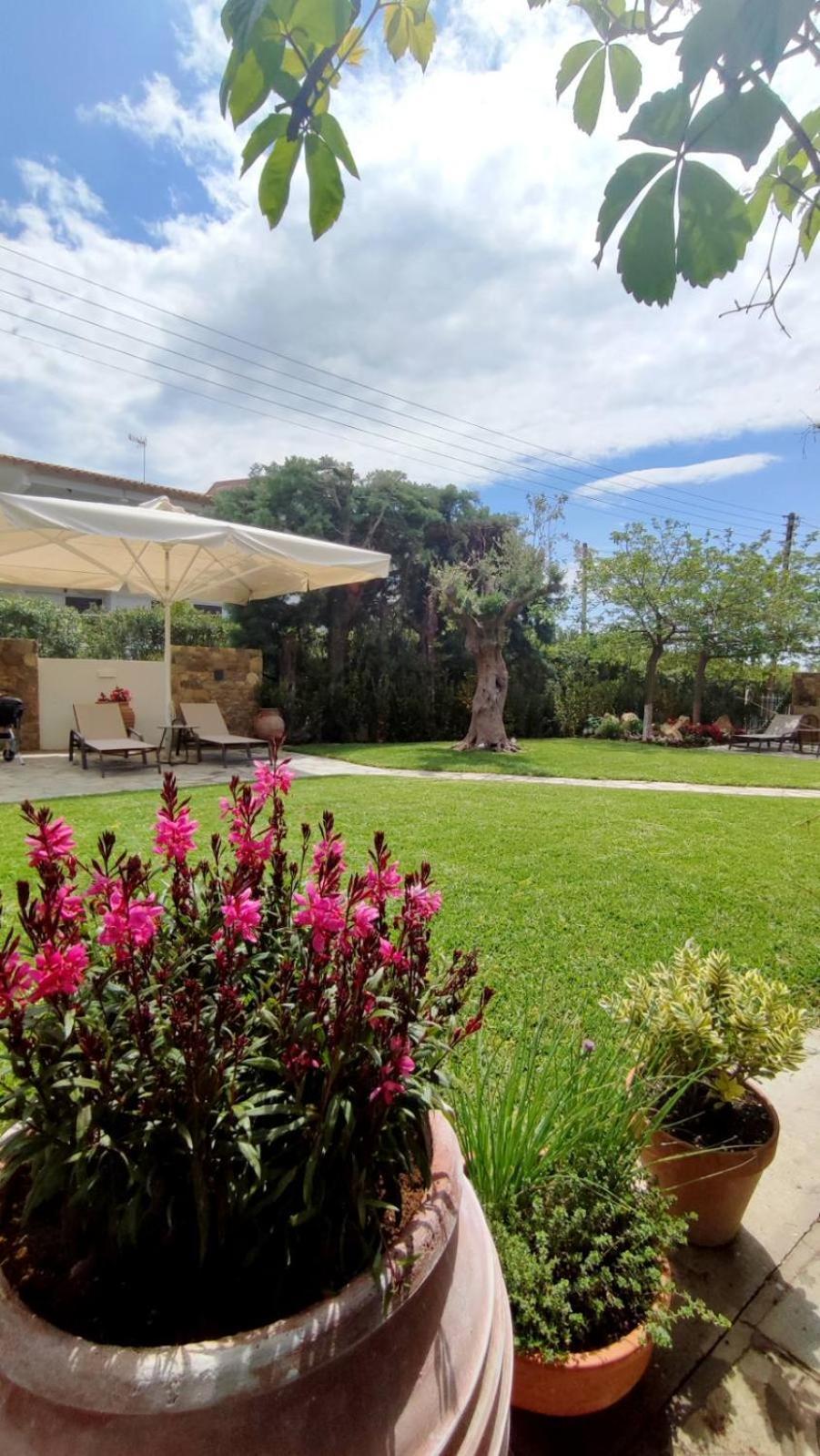 Coel Luxury Suites By Rentalspro Services - Potidea Halkidiki Nea Poteidaia Dış mekan fotoğraf